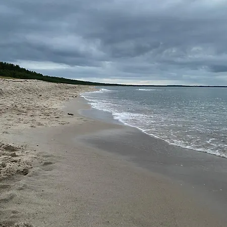 Malepartus - * Глове