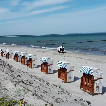 Malepartus - Глове