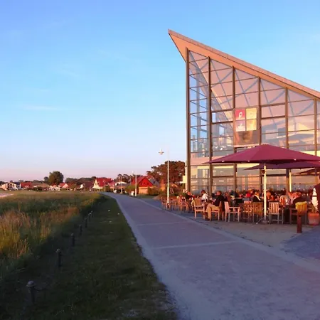 Malepartus - * Глове